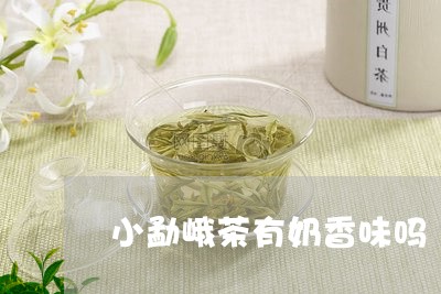 小勐峨茶有奶香味吗/2023032004947