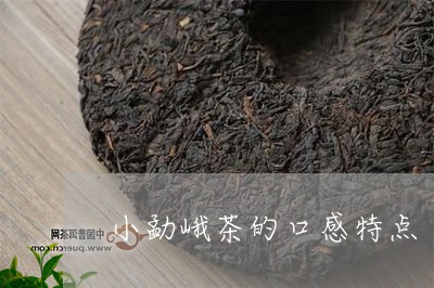 小勐峨茶的口感特点/2023032217250