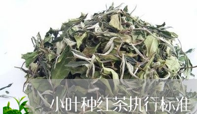 小叶种红茶执行标准/2023041537360