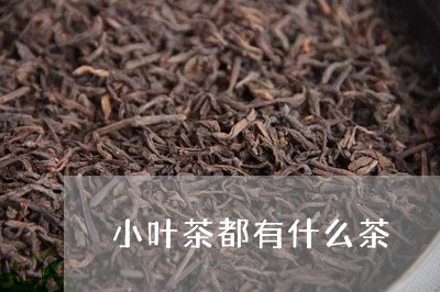 小叶茶都有什么茶/2023032446250