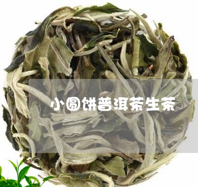 小圆饼普洱茶生茶/2023041163151