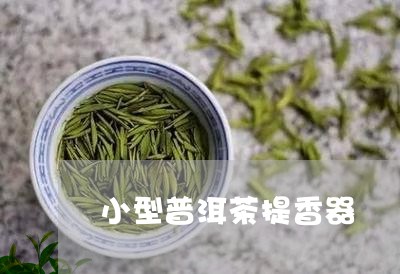 小型普洱茶提香器/2023031626958