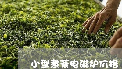 小型煮茶电磁炉价格/2023032141605