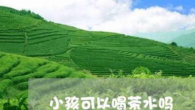 小孩可以喝茶水吗/2023032506401