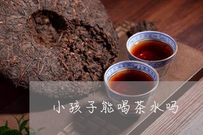 小孩子能喝茶水吗/2023032541704