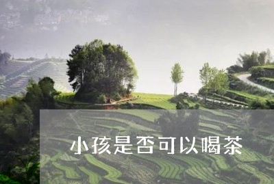 小孩是否可以喝茶/2023032441616