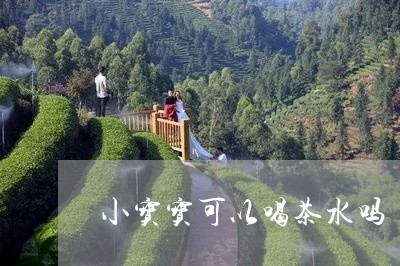 小宝宝可以喝茶水吗/2023041606979