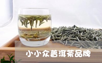 小小众普洱茶品牌/2023041186270