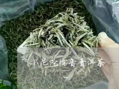 小尼陀糯香普洱茶/2023033117279