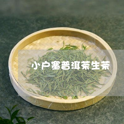 小户塞普洱茶生茶/2023031624243