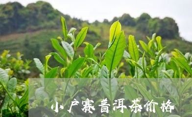 小户赛普洱茶价格/2023031704150