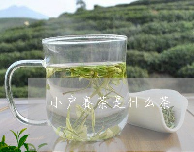 小户赛茶是什么茶/2023032315572