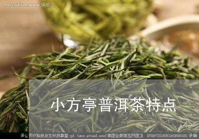 小方亭普洱茶特点/2023031787404