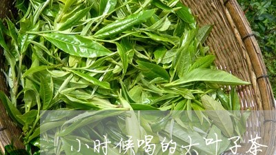 小时候喝的大叶子茶/2023031878391