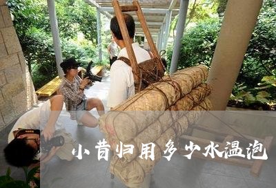 小昔归用多少水温泡/2023031955158