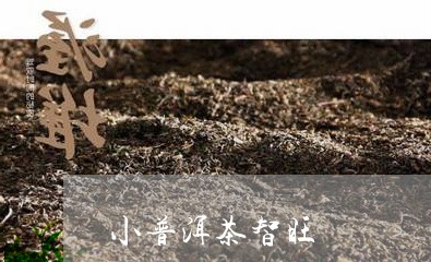 小普洱茶智旺/2023031649352