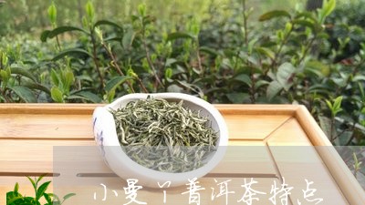 小曼丫普洱茶特点/2023031649482