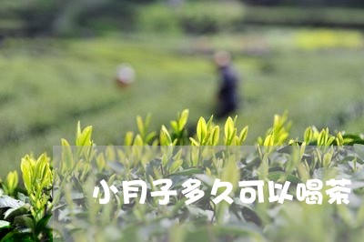 小月子多久可以喝茶/2023041625937