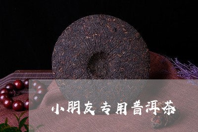 小朋友专用普洱茶/2023041048372