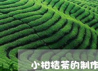 小柑桔茶的制作方法/2023041746372