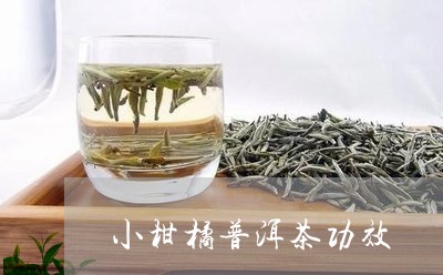 小柑橘普洱茶功效/2023041311584