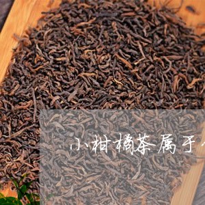 小柑橘茶属于什么茶/2023041699492