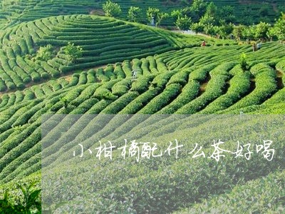 小柑橘配什么茶好喝/2023041507060