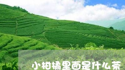 小柑橘里面是什么茶/2023041570625