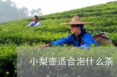 小梨壶适合泡什么茶/2023041504036