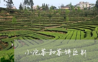 小沱茶和茶饼区别/2023032582606