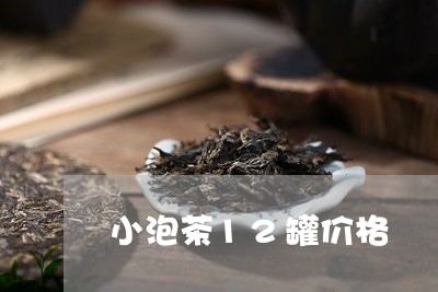 小泡茶12罐价格/2023032583947