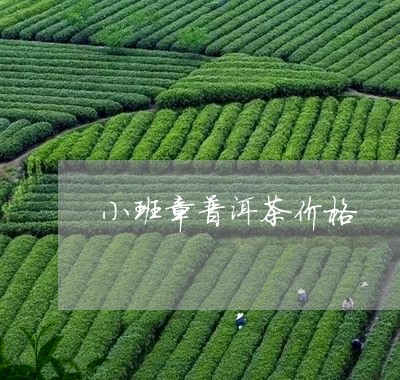 小班章普洱茶价格/2023041373706