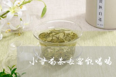 小甘菊茶长霉能喝吗/2023041489403