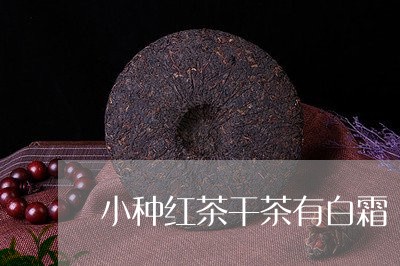 小种红茶干茶有白霜/2023032078271