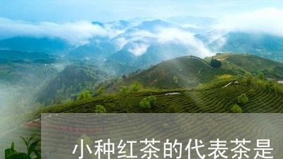 小种红茶的代表茶是/2023041706137