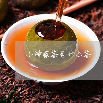 小稀藤茶是什么茶/2023032337260