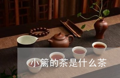 小篱的茶是什么茶/2023032493959