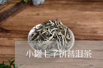 小罐七子饼普洱茶/2023033186249