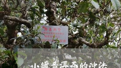 小罐普洱茶的冲法/2023033111472