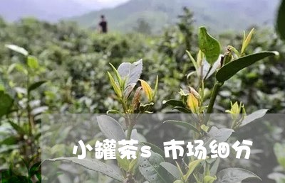 小罐茶s市场细分/2023032426259