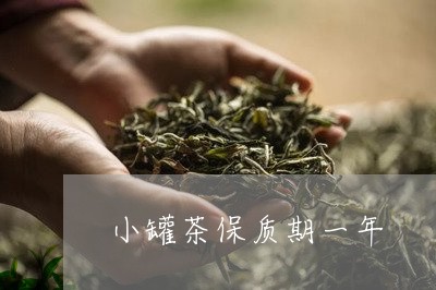 小罐茶保质期一年/2023032494825