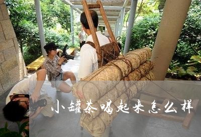 小罐茶喝起来怎么样/2023041596848