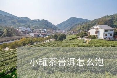 小罐茶普洱怎么泡/2023032984918