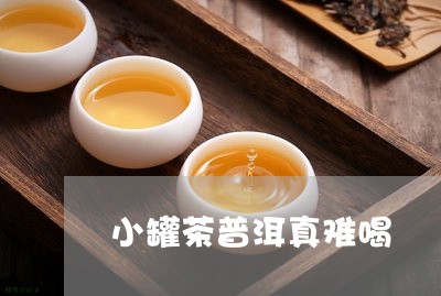 小罐茶普洱真难喝/2023032960402