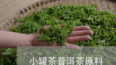 小罐茶普洱茶原料/2023041109305