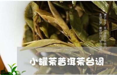 小罐茶普洱茶台词/2023041137260