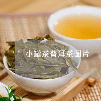 小罐茶普洱茶图片/2023031750481