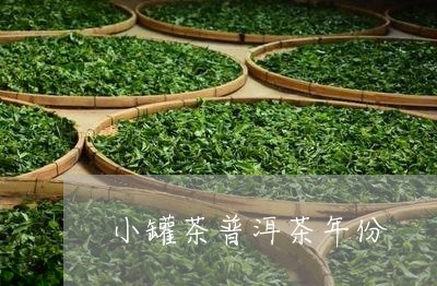 小罐茶普洱茶年份/2023041146030