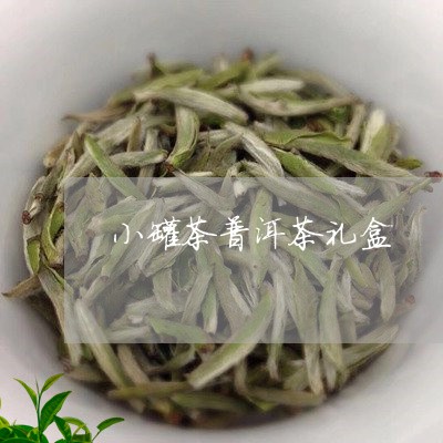 小罐茶普洱茶礼盒/2023031874050