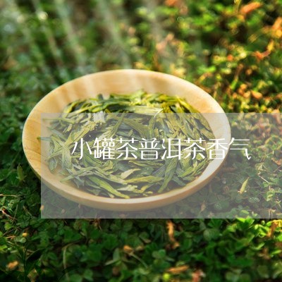 小罐茶普洱茶香气/2023041118471